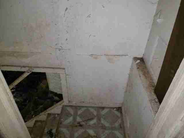 Testing again(46).jpg